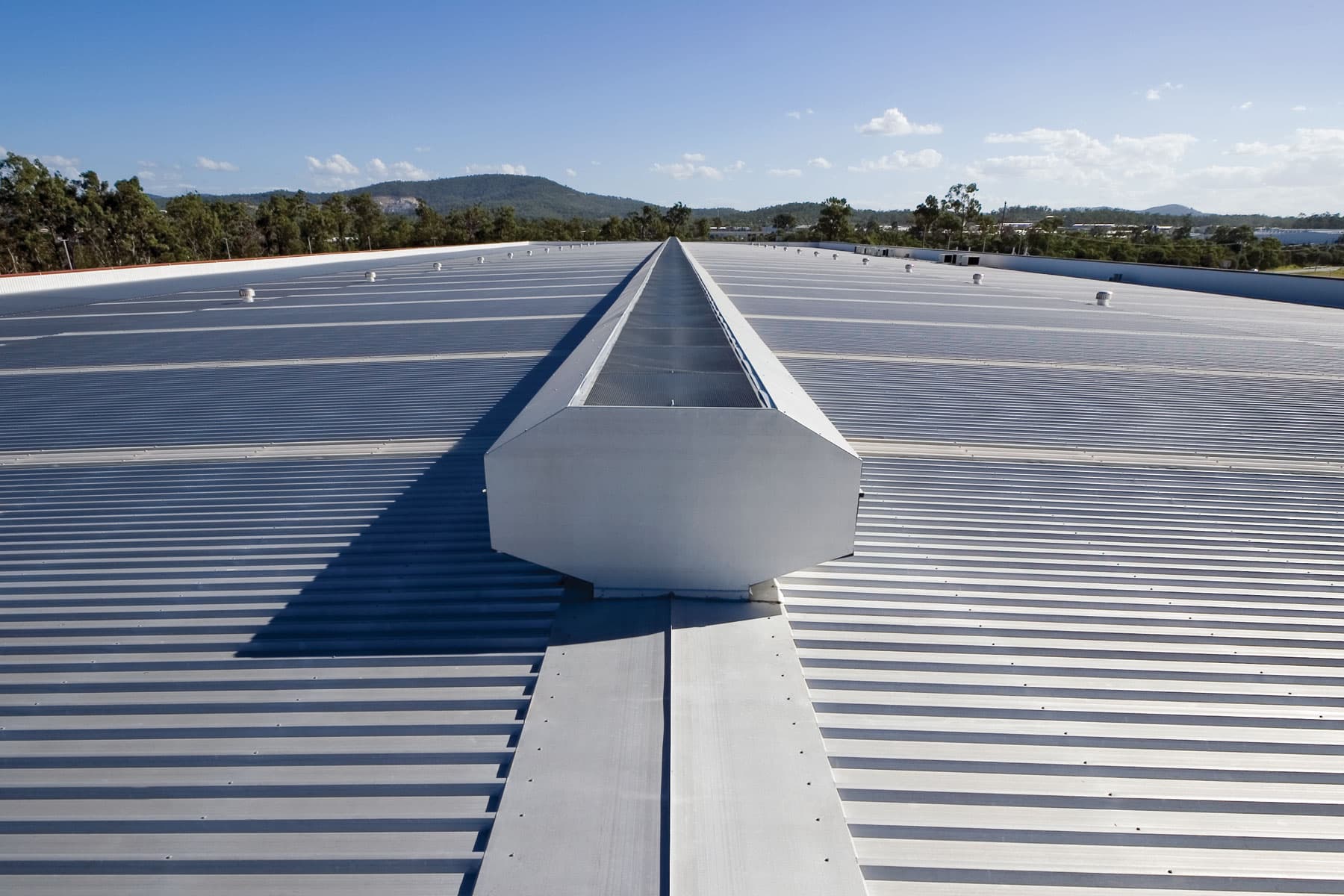 ARV Ridge Ventilator